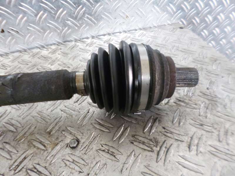 P1210840.JPG