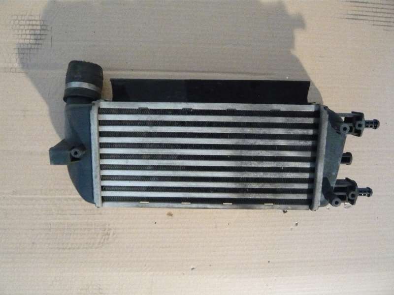 P1120474.JPG