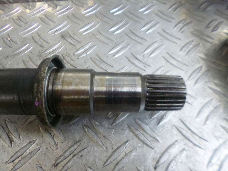 P1190731.JPG