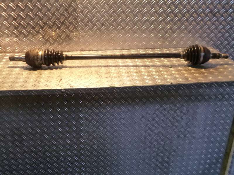 P1180351.JPG