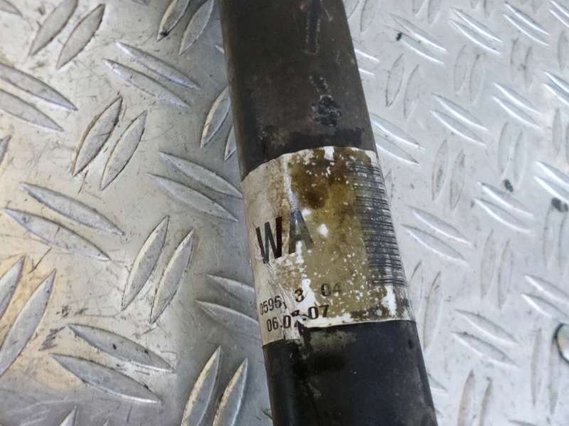 P1120464.JPG