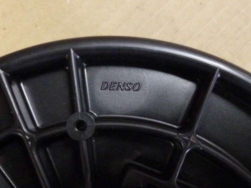 P1050138.JPG