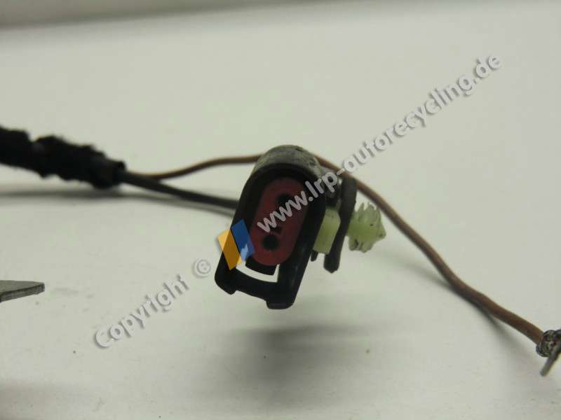 CIMG8339(153).JPG