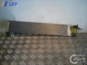 1001240051006_20130111113139.jpg