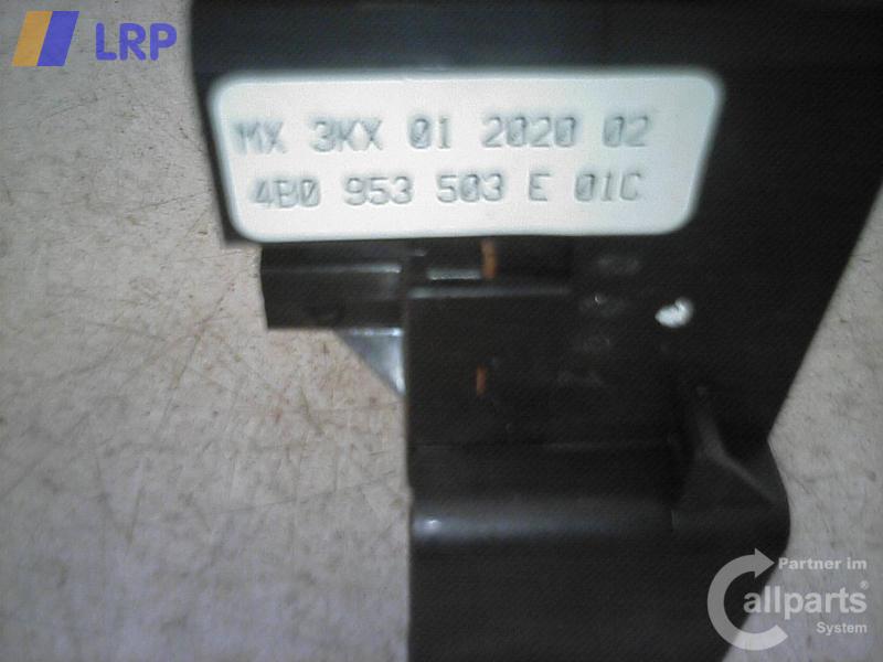 1000864971006_20090205123327.jpg