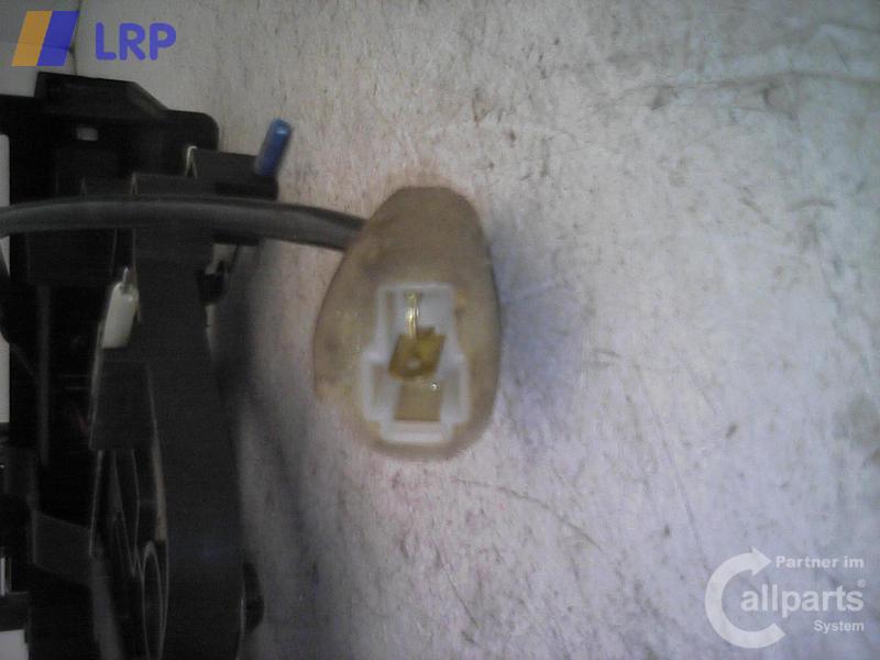 1001418011006_20080724121756.jpg