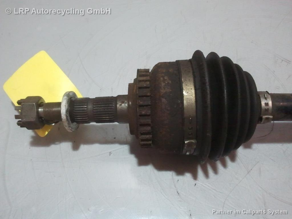 1002324971006_20151230163146.jpg