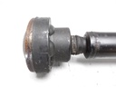 1003097391006_20190618110227.jpg