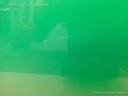 1003011651006_20150728161742.jpg