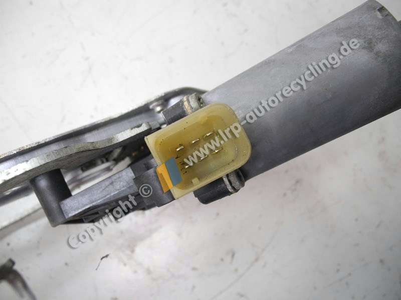 DSCN3931 (2).JPG