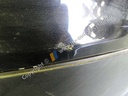 DSCN9664 (2).JPG