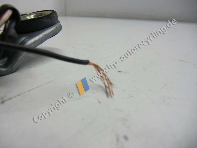 CIMG8328(142).JPG