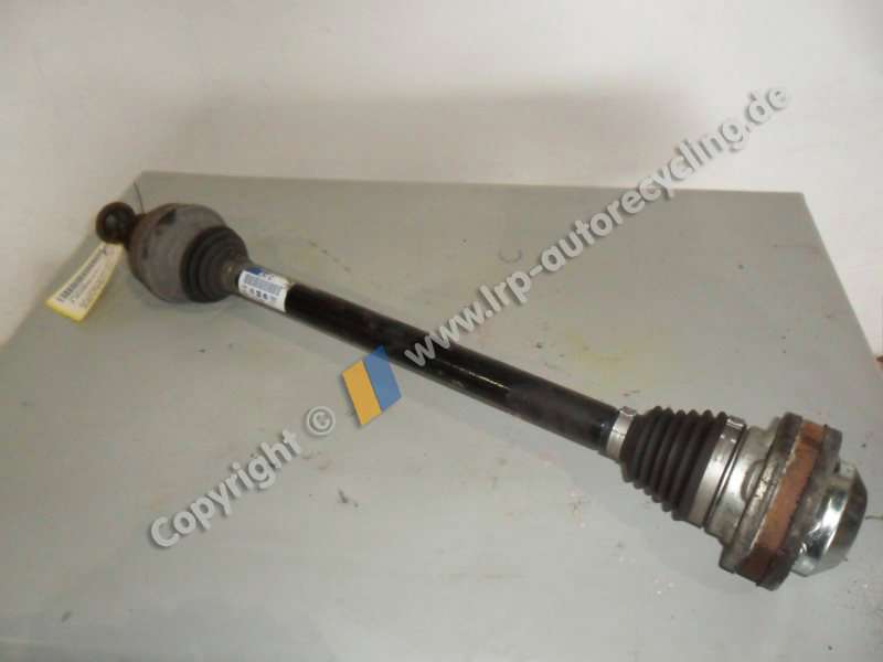 SAM_3920 (2).JPG