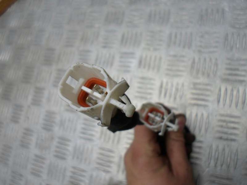 SAM_3977 (2).JPG