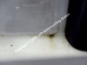 SAM_1185 (2).JPG