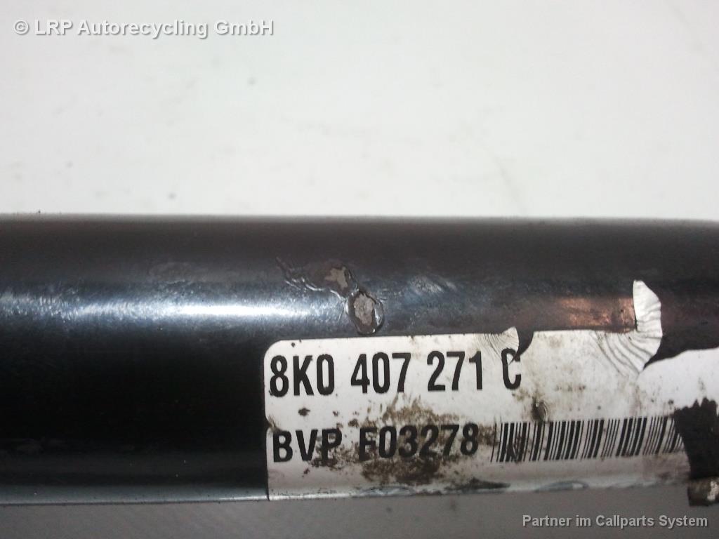 1004159531006_20170419153022.jpg