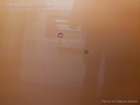 1004245151006_20170214170447.jpg