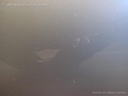 1004130851006_20161202090239.jpg