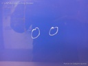 1004074711006_20160923092234.jpg