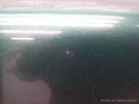 1004051981006_20160829164117.jpg