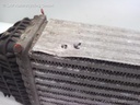 1003961631006_20160324104920.jpg