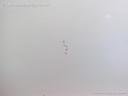 1003870181006_20151117141120.jpg