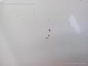 1003869961006_20151117131440.jpg