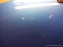 1003867081006_20151111105158.jpg