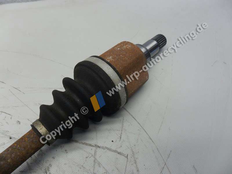 SAM_4053 (2).JPG