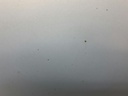 1004745991006_20181122153727.jpg