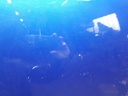 1004747531006_20181122110821.jpg