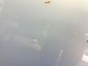 1004716181006_20181005154920.jpg