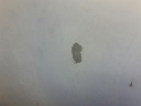 1004690051006_20180907104825.jpg