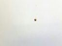 1004658881006_20180815111648.jpg