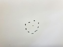 1004628701006_20180706143851.jpg