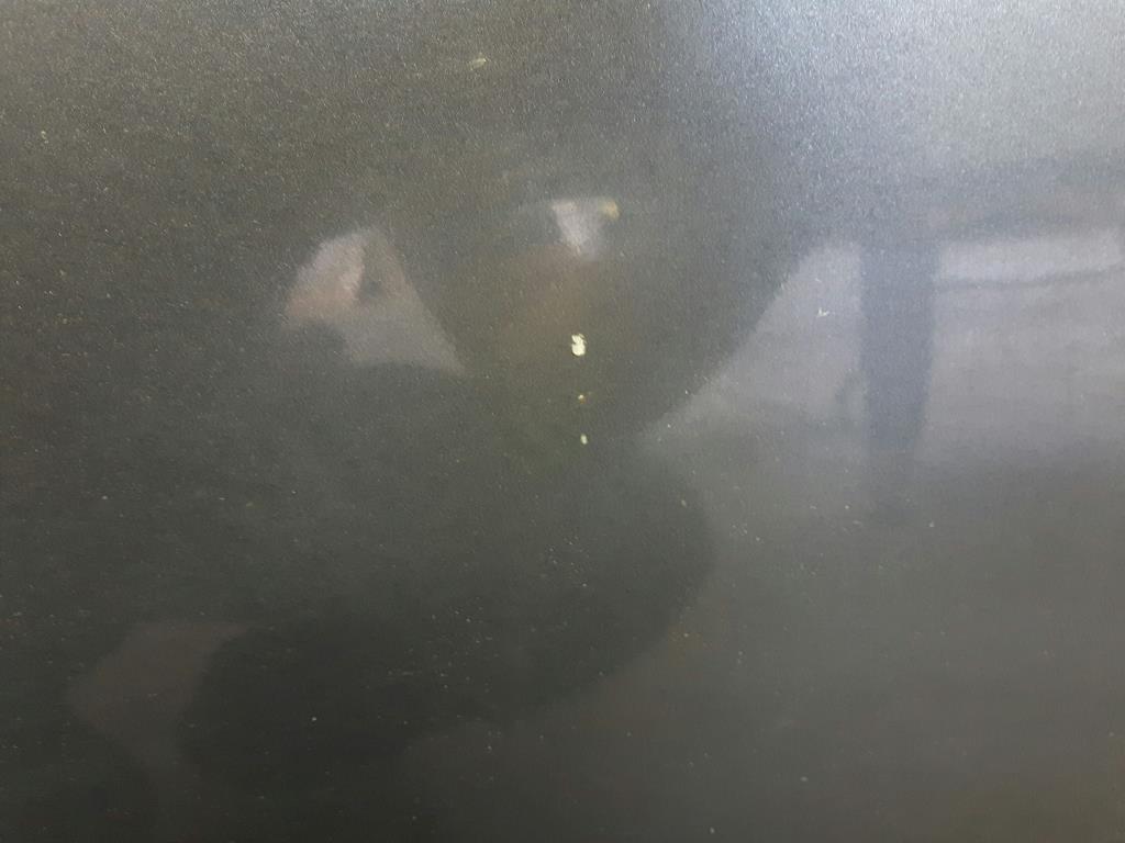 1004607821006_20180528154424.jpg