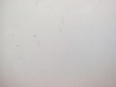 1004478081006_20171211100507.jpg
