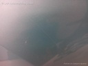 1004416631006_20170923092002.jpg