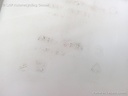 1004315691006_20170515160909.jpg