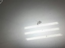 1005042851006_20200320145212.jpg