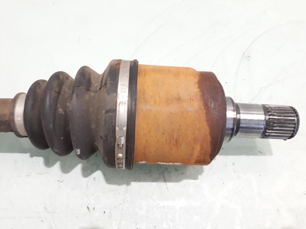 1005058171006_20200226132532.jpg