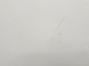 1005037791006_20200204142409.jpg