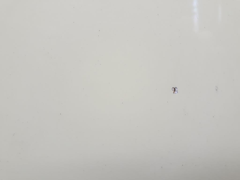 1005037791006_20200204142356.jpg