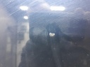 1005004441006_20191213162748.jpg