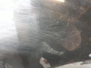 1004975731006_20191030162437.jpg
