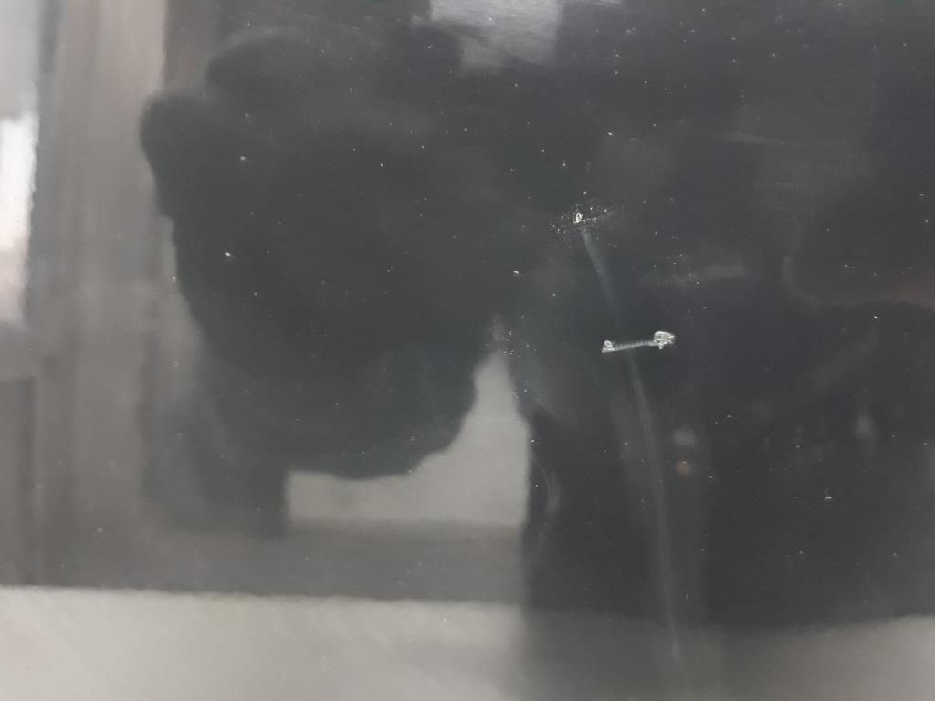 1004953881006_20191024160227.jpg