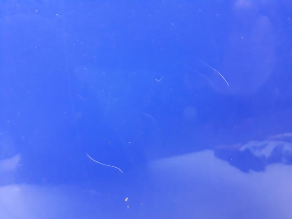 1004930011006_20190910123416.jpg