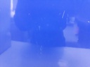 1004930011006_20190910123405.jpg
