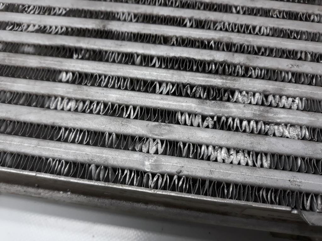 1004885791006_20190704090801.jpg