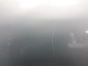 1004868681006_20190620143843.jpg
